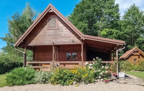 Pet Friendly Home In Zalewo With Lake View